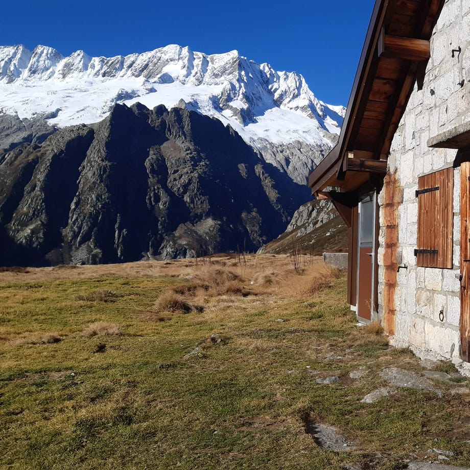 Kostenloses Stock Foto zu außen landschaft, bäume, bedeckt